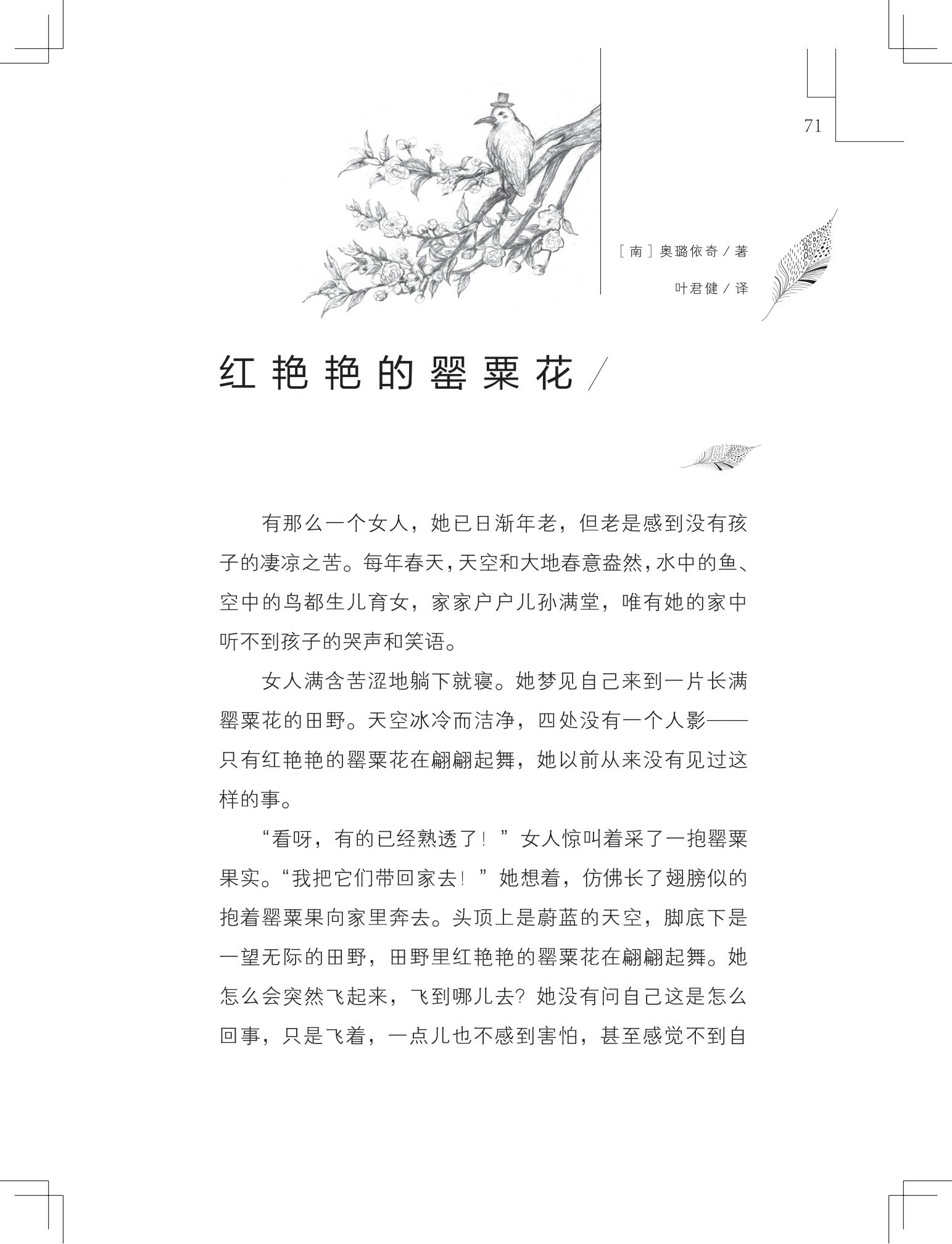 《做在大胡子里的鸟窝 》